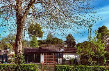 Casa Barbara - Photo 26