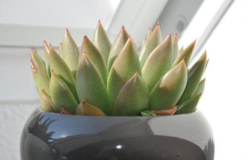 Möllenbecks Messewohnungen - Foto 37