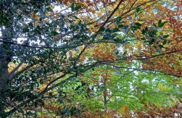 La casa del Alamo - Foto 22