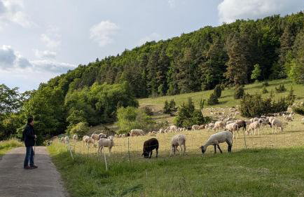 Ferienwohnung Eppler - Foto 28