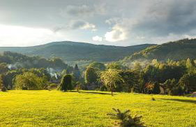 DOMKI KOLOROWE - Foto 18