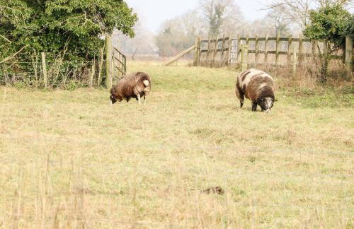 Wensum Spring - Foto 33