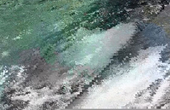 Bungalows Las Margaritas 2 - Foto 17