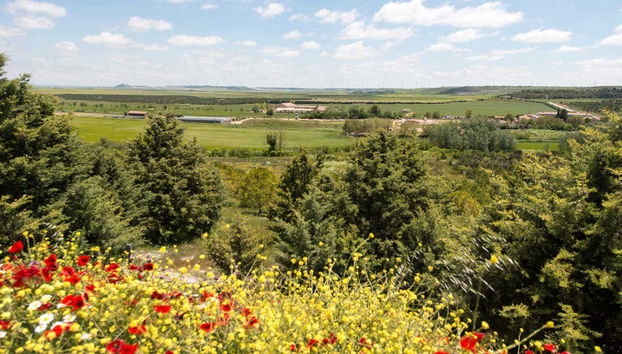 Vista panorámica de la finca de Matallana