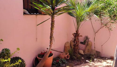 Casa Mariella - Foto 3, Garden