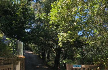 Sobreiro Valley - Casa Firmino - Foto 32