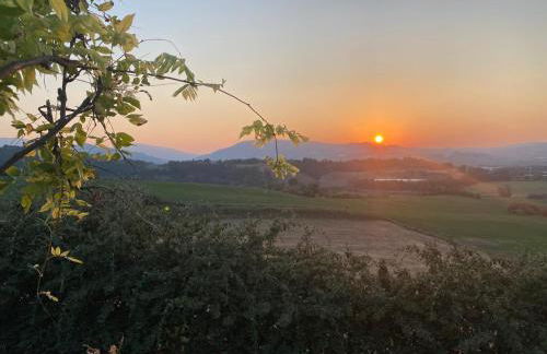 Villa Estro -15 minuti da Fano e Urbino - Photo 30