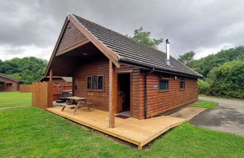 Willow Plus 4 Hot Tub - Foto 1