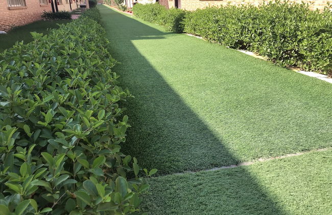 Shalehat Al-Morjan - Foto 42