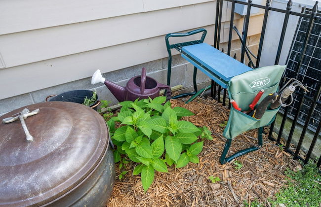 The Giraffe House - Photo 46