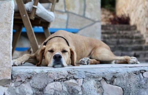 Small house at seafront - Photo 36