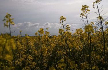 W starej szkole - agroturystyka - Foto 65