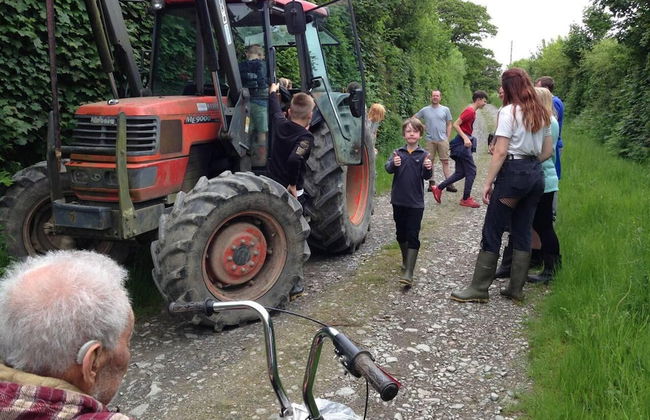 Relax in Sunset View Cottage on Cwmiar Farm - Photo 12