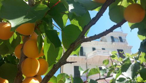 Villa Virginia - Foto 4