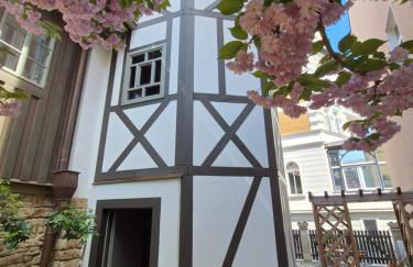 außergewöhnliches, historisches, spätgotisches Wohnhaus von 1519, Gries 5 - Foto 51