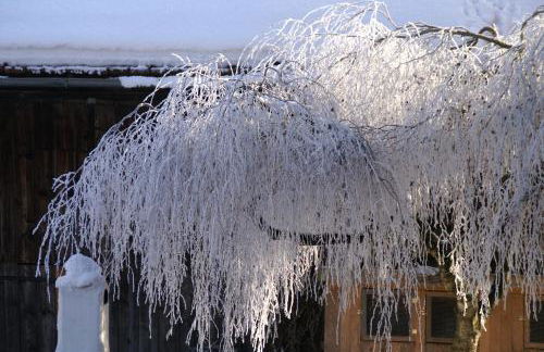 Ferienwohnung Hofleben Reiner - Foto 13