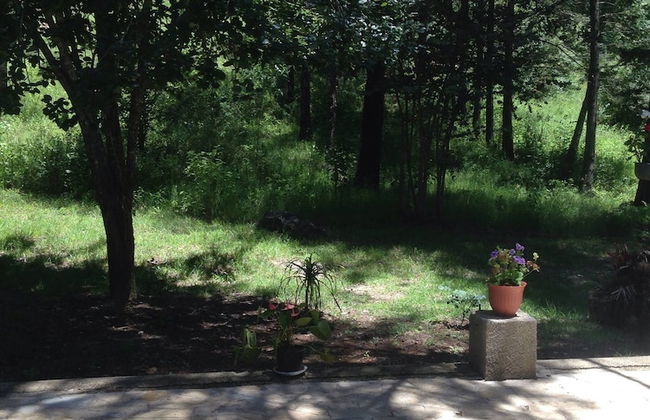 Apartment In San Cristobal De Las Casas, Wifi - Foto 16