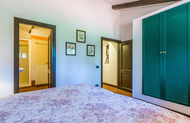 Bardeggiano - Caterina 3 (COL246) - Foto 21