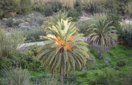 Alojamientos Villarias Archena - Foto 47