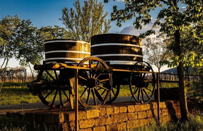 Holiday House on Bornfeld - Photo 28