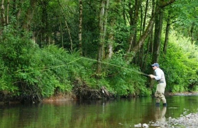 High Bickington Forest View 2 Bedrooms - Foto 2