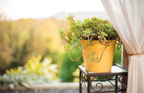 Green Hills Cottage with Pool & Magnificent View - Foto 17