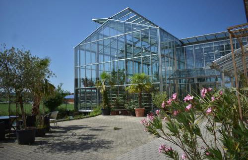 Palmengarten - Foto 10