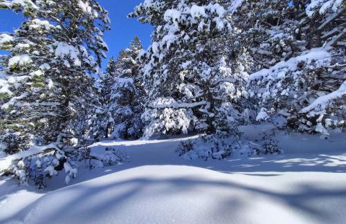 Le Gîte des Trois Seigneurs - Photo 21