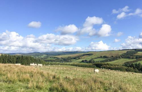 Pinclanty Cottage - Foto 19