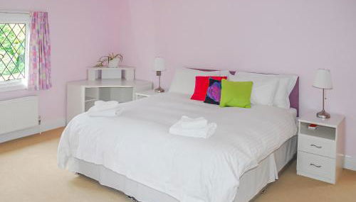 Silverland - Photo 3