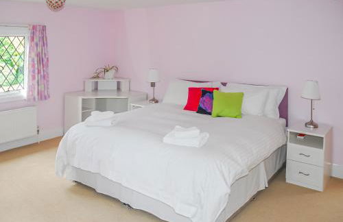 Silverland - Photo 3