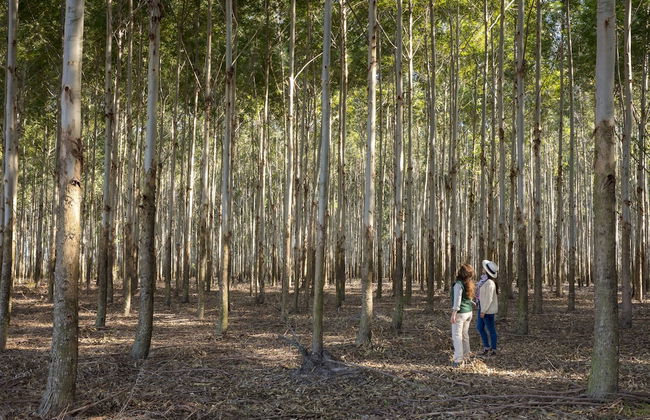 Estancia San Agustín - Foto 39