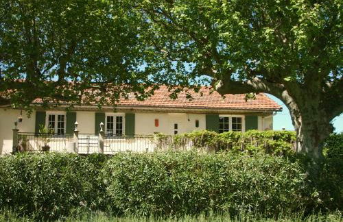 Mas de St-Andiol - Foto 49