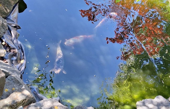 Relaxing Holiday Home in Willersdorf in the Forest - Photo 57