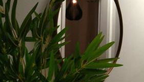 Apartamento 2 quartos em SJ - SC - Foto 3