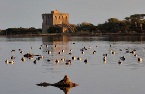 Casa Burano-Relax in Terrazza tra mare e natura - Foto 43