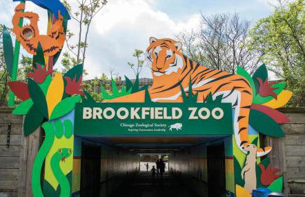 Chic City Escape - Foto 14