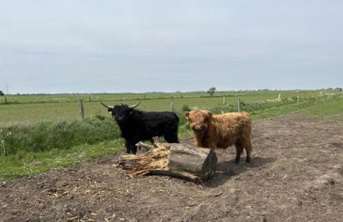 Huus Marschkiek - Foto 15