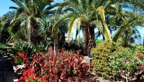 Casa Bana 2 - Foto 3, Garden