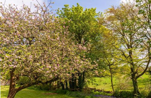 Chalet Lodge 3 Hot Tub by Interhome - Foto 37
