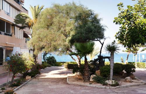 Maison Miramar Cabo Cervera - Foto 35