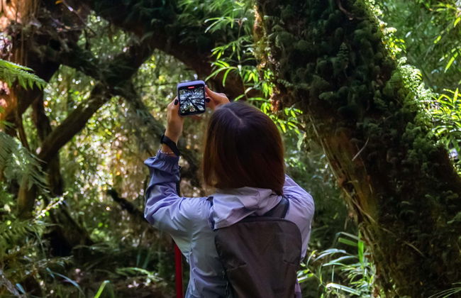 Tepuhueico Park Ticket - Foto 9