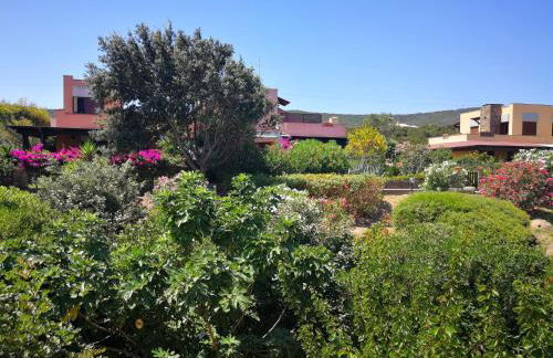 Villa La Pelosa Stintino - Foto 14