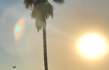 Serene & beautiful bohemian hilltop retreat - Foto 51