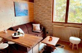 Petit Ours Blanc - Foto 2