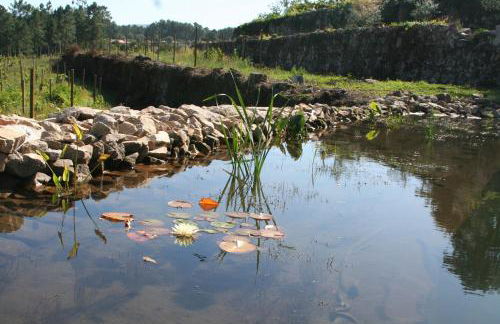 Estabulo de Valinhas - Foto 11