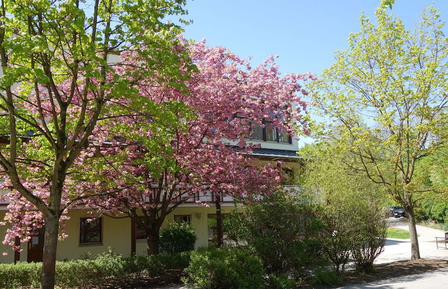 Aparthotel am Sonnenhuegel - Photo 23