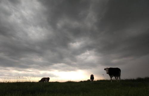 Piratennest - Foto 11