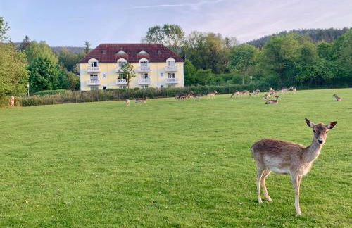 Lindners Hideaways - Gutshof Pine Retreat - Sauna - In Villa - Terrasse - Garten mit Rehgehege - Frühstück verfügbar - SKI - Arber - Osser - bis 5 Pers - Photo 39