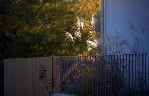 Villa Milaella - Foto 36